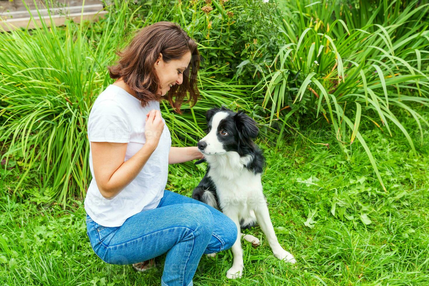 leende ung attraktiv kvinna spelar med söt valp hund gräns collie i sommar trädgård eller stad parkera utomhus- bakgrund. flicka Träning lura med hund vän. sällskapsdjur vård och djur begrepp. foto