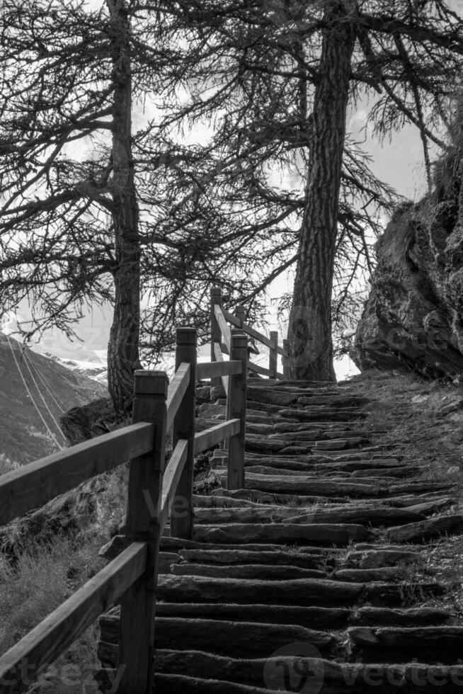 vandring i de schweiziska alperna foto