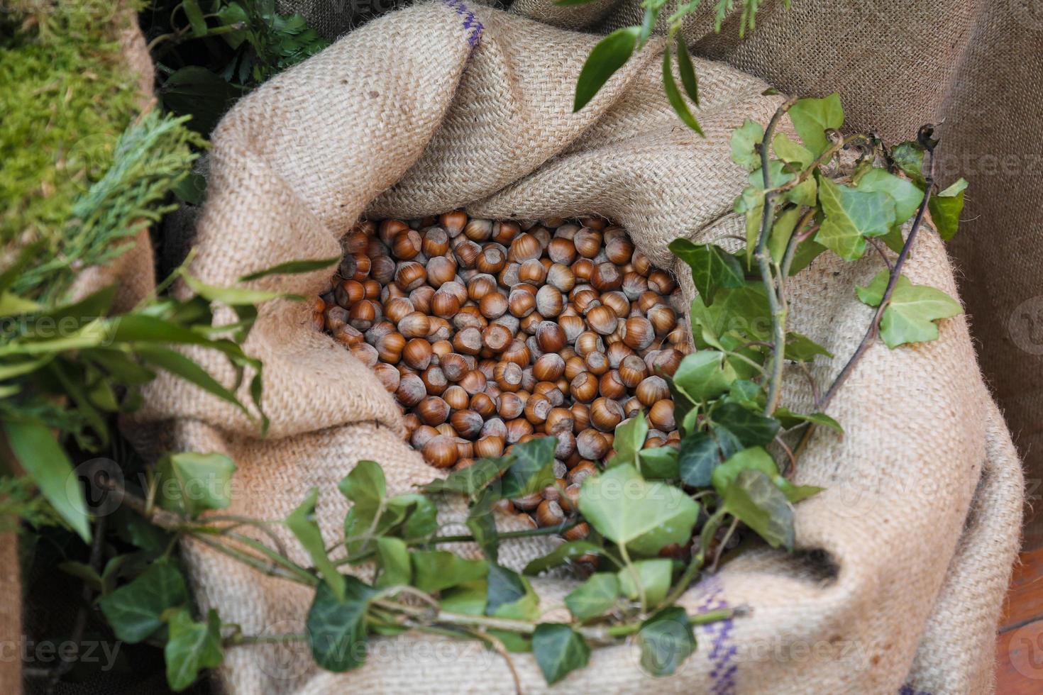 säck hasselnötter från Piemonte foto