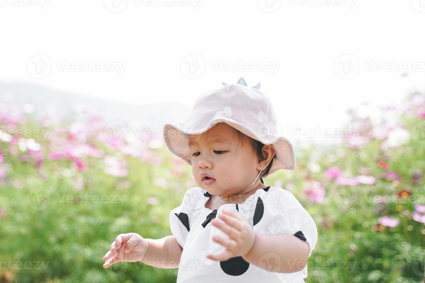 ung liten söt asiatisk tjej som leker i kosmosblommafält under vår- eller sommarsäsongen. foto