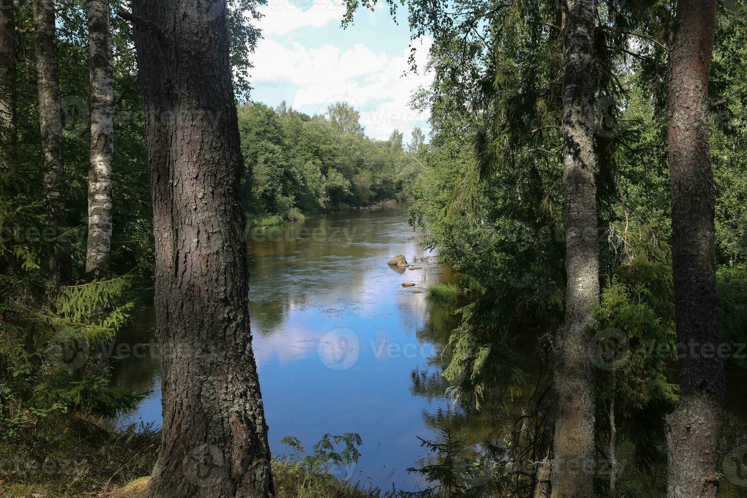 skön landskap sjö i de skog foto