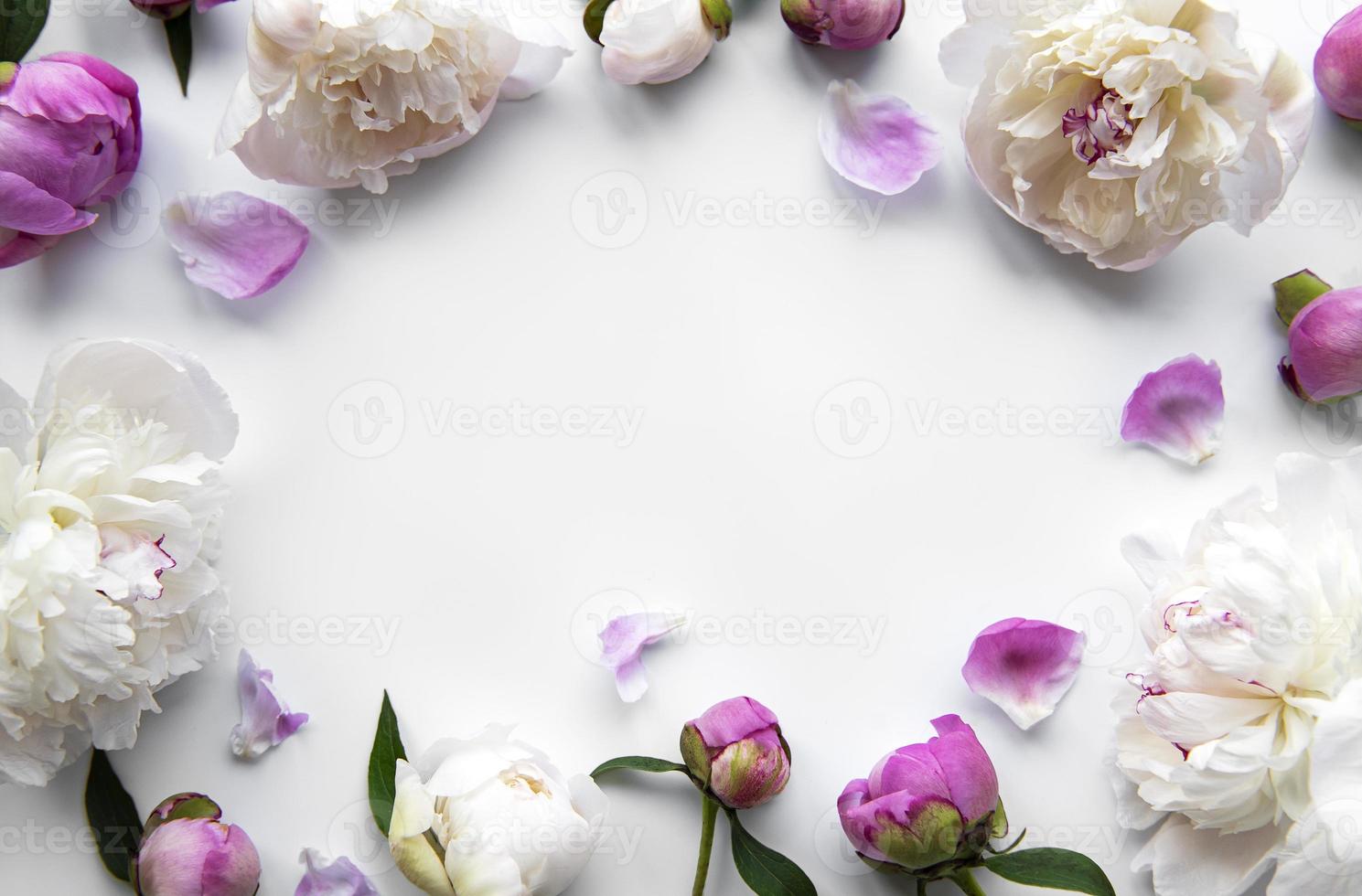 pion blommor på en vit bakgrund foto
