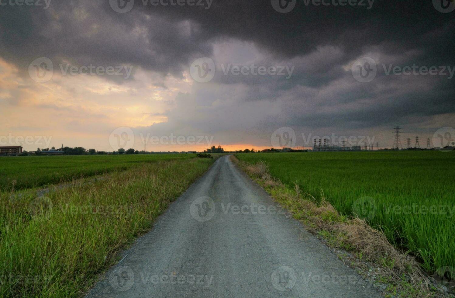 tropisk hav solnedgång träd himmel se bakgrund foto