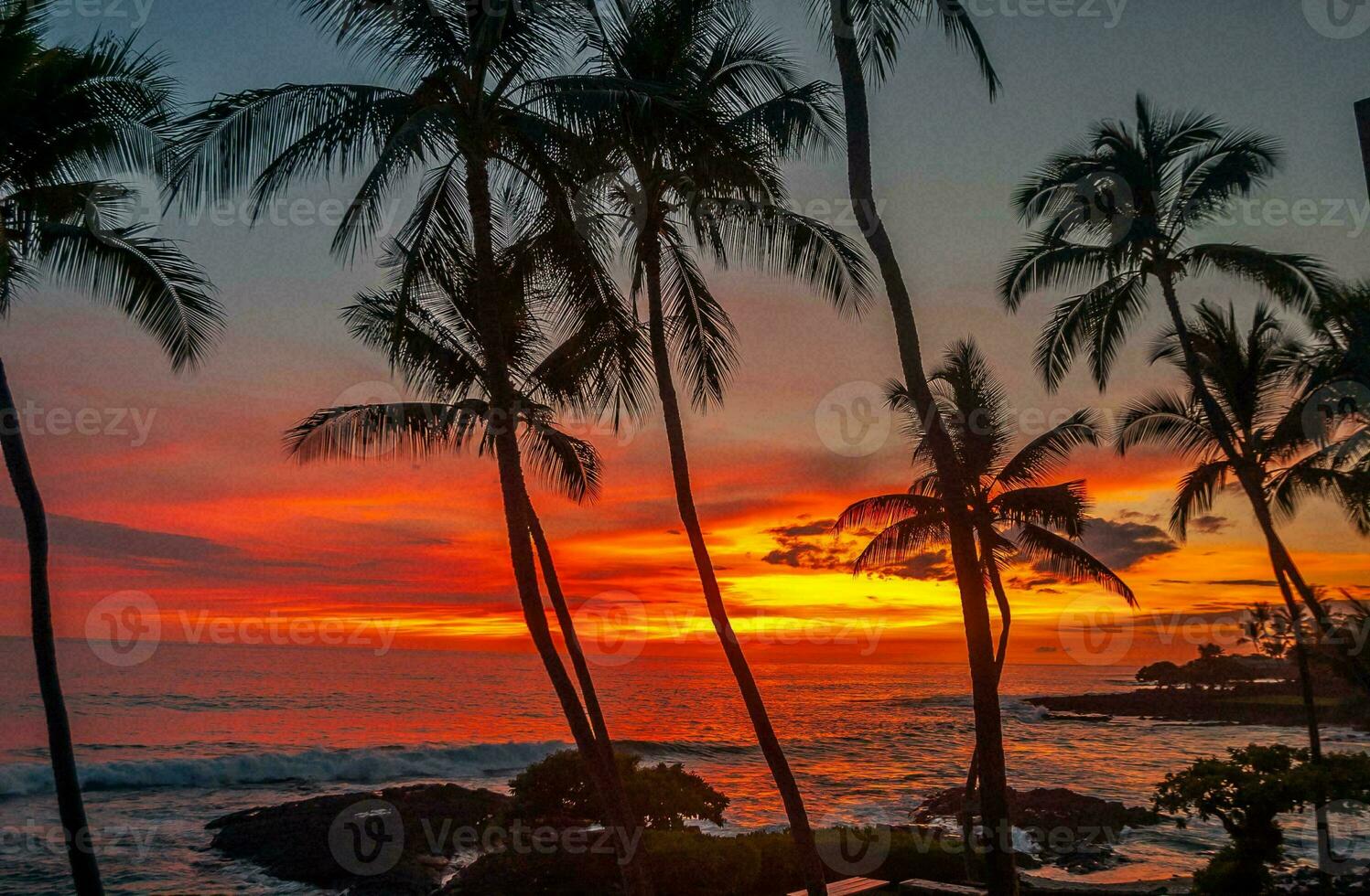 tropisk hav solnedgång träd himmel se bakgrund foto