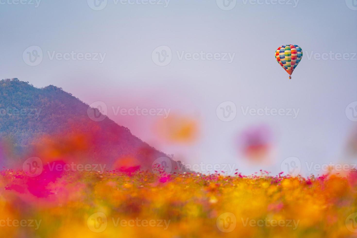 ballong på blå himmel över vacker blommaträdgård foto