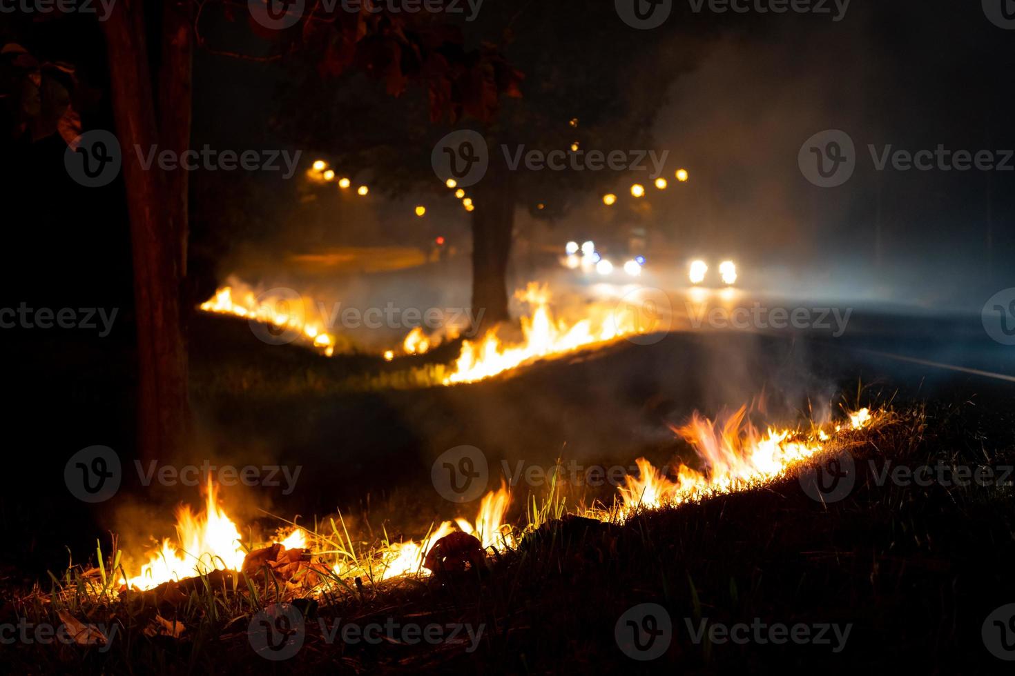 eld över den vilda sidan av vägen, flamman av brinnande på natten foto