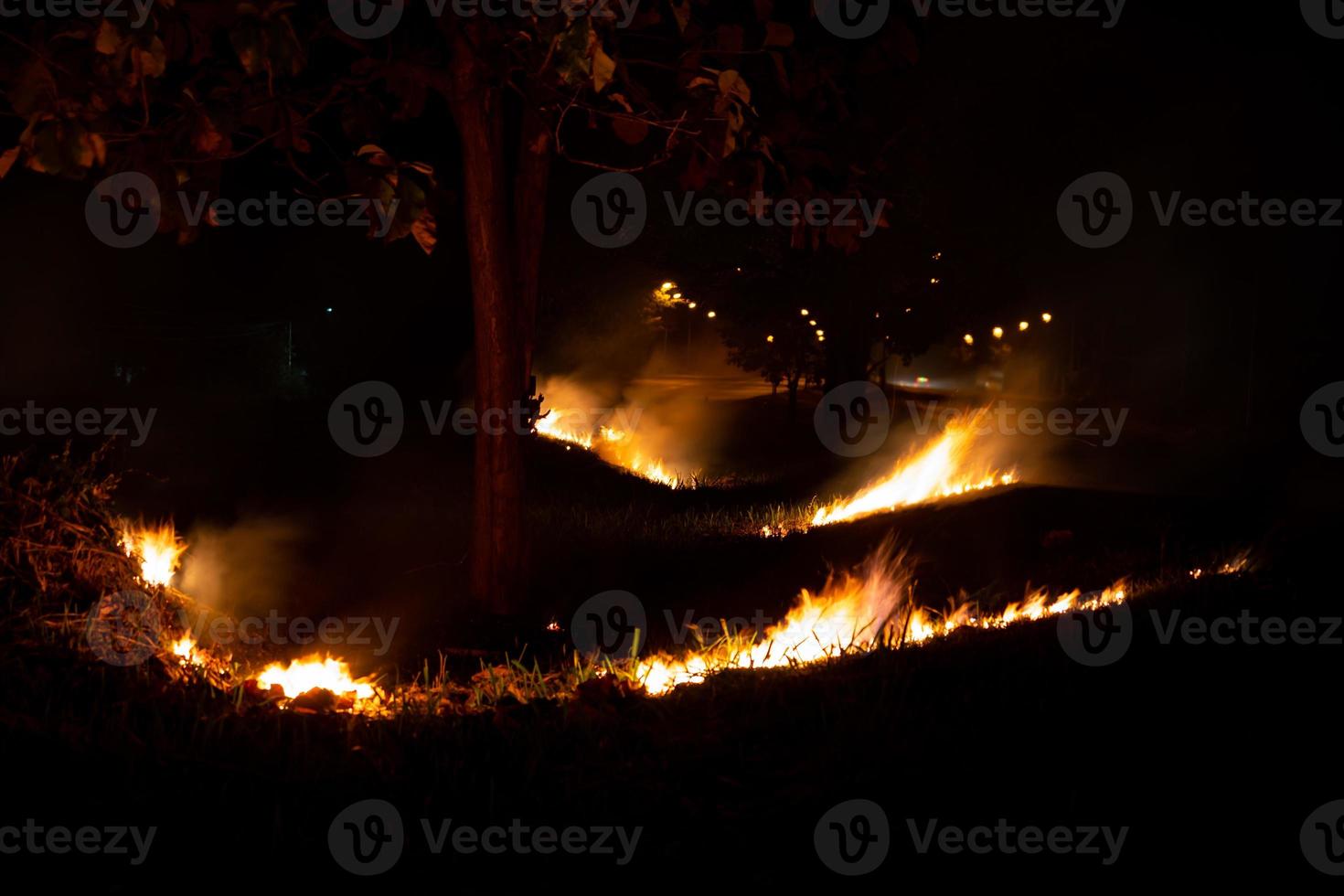 eld över den vilda sidan av vägen, flamman av brinnande på natten foto