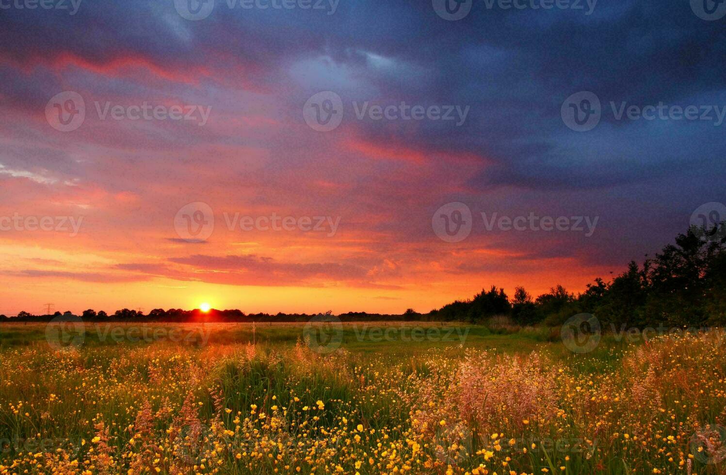 tropisk hav solnedgång träd himmel se bakgrund foto