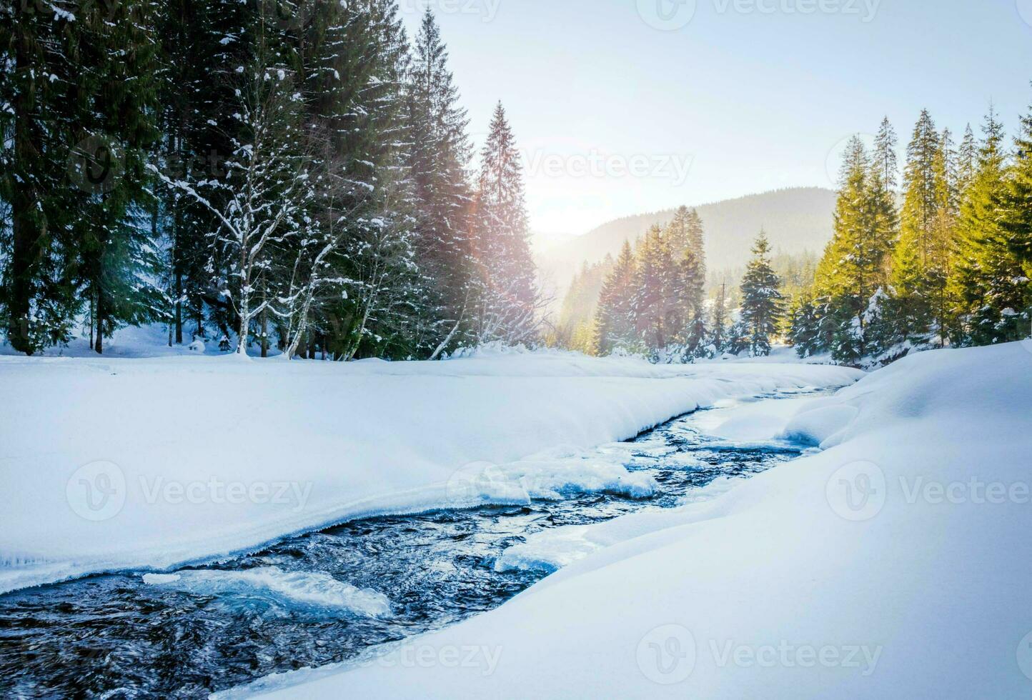 flod ravin. berg flod ström i vinter. de tall träd är täckt med snö. skön landskap med snö foto