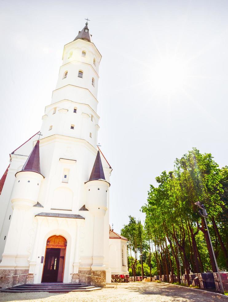 katedralen helgon peter och paul, siauliai, litauen foto