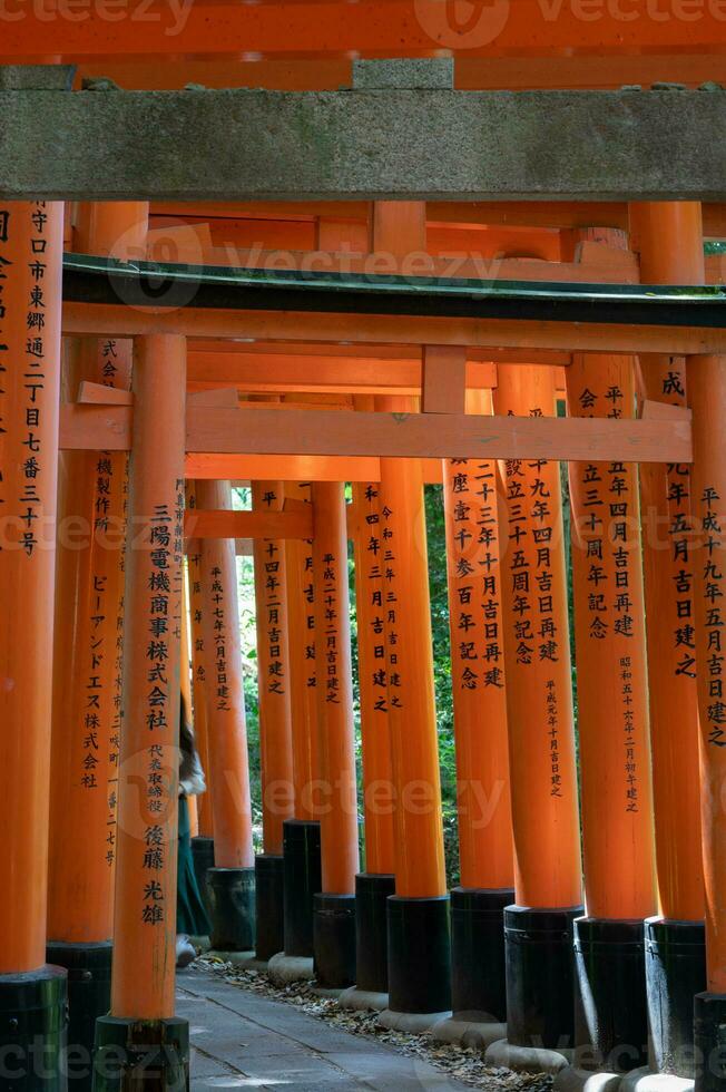 de helgedom av de tusen toriien portar. fushimi inari helgedom. den är känd för dess tusentals av cinnober toriien portar. japan foto