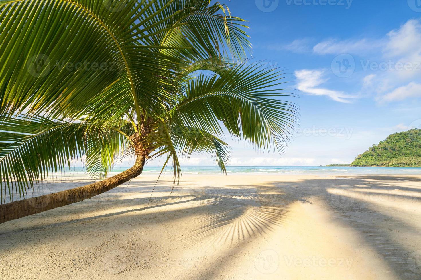 vacker tropisk strand och hav med kokospalmer under blå himmel foto