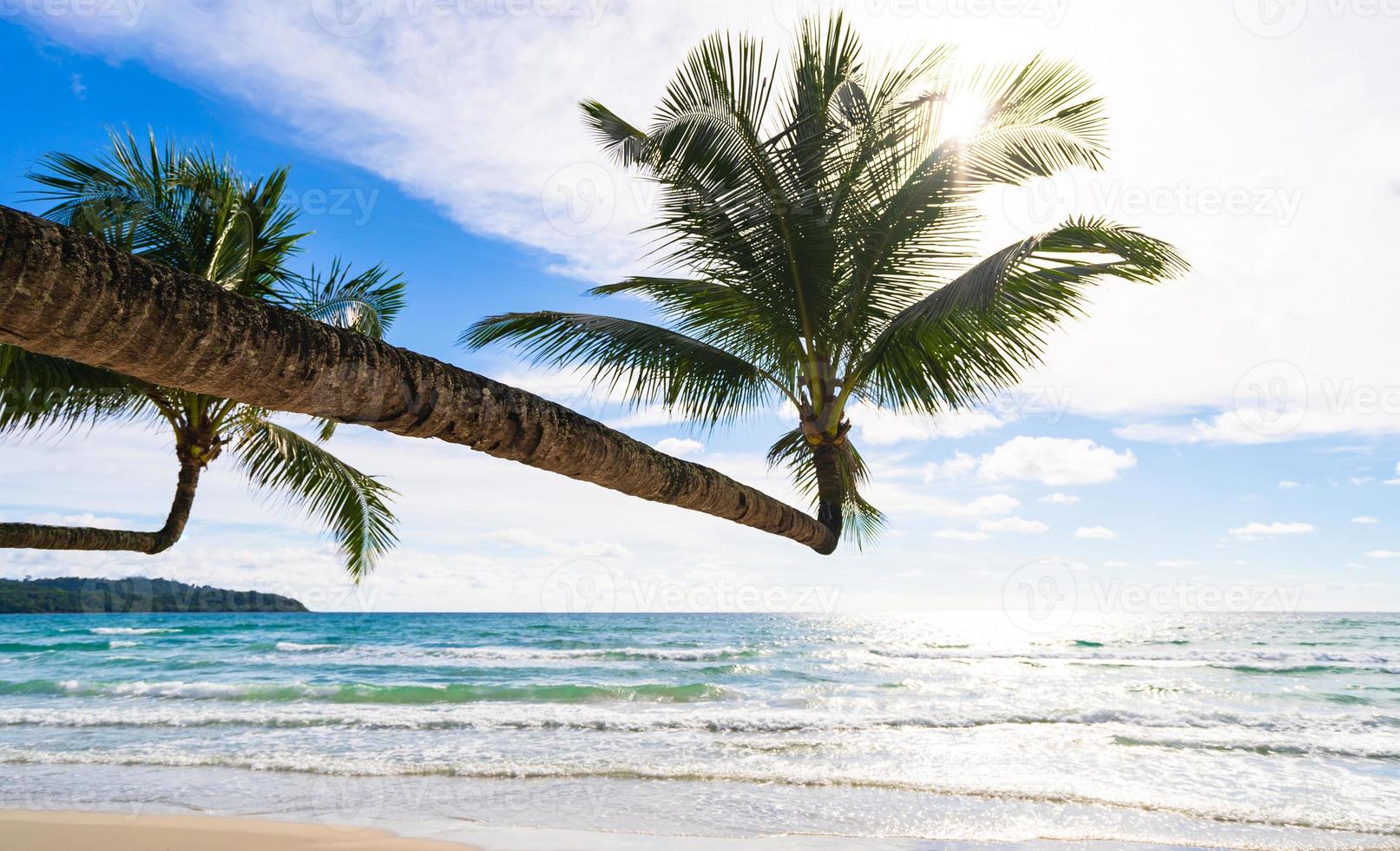 vacker tropisk strand och hav med kokospalmer under blå himmel foto
