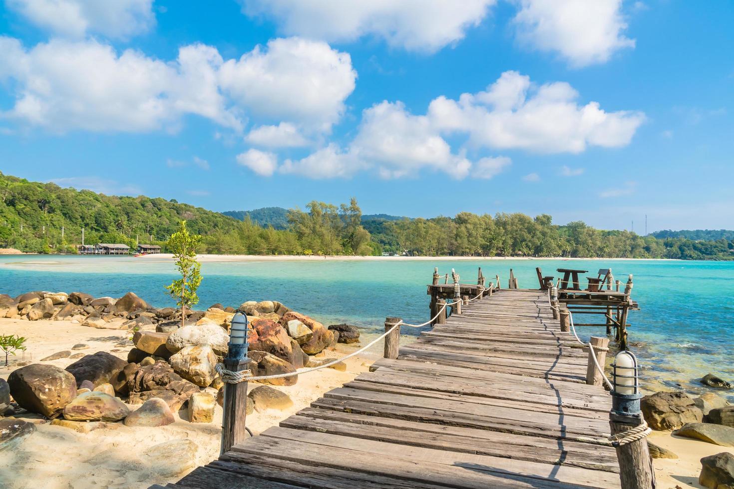 kokospalmer på stranden och havet foto