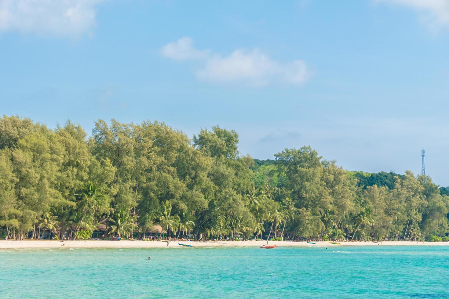 kokospalmer på stranden och havet foto