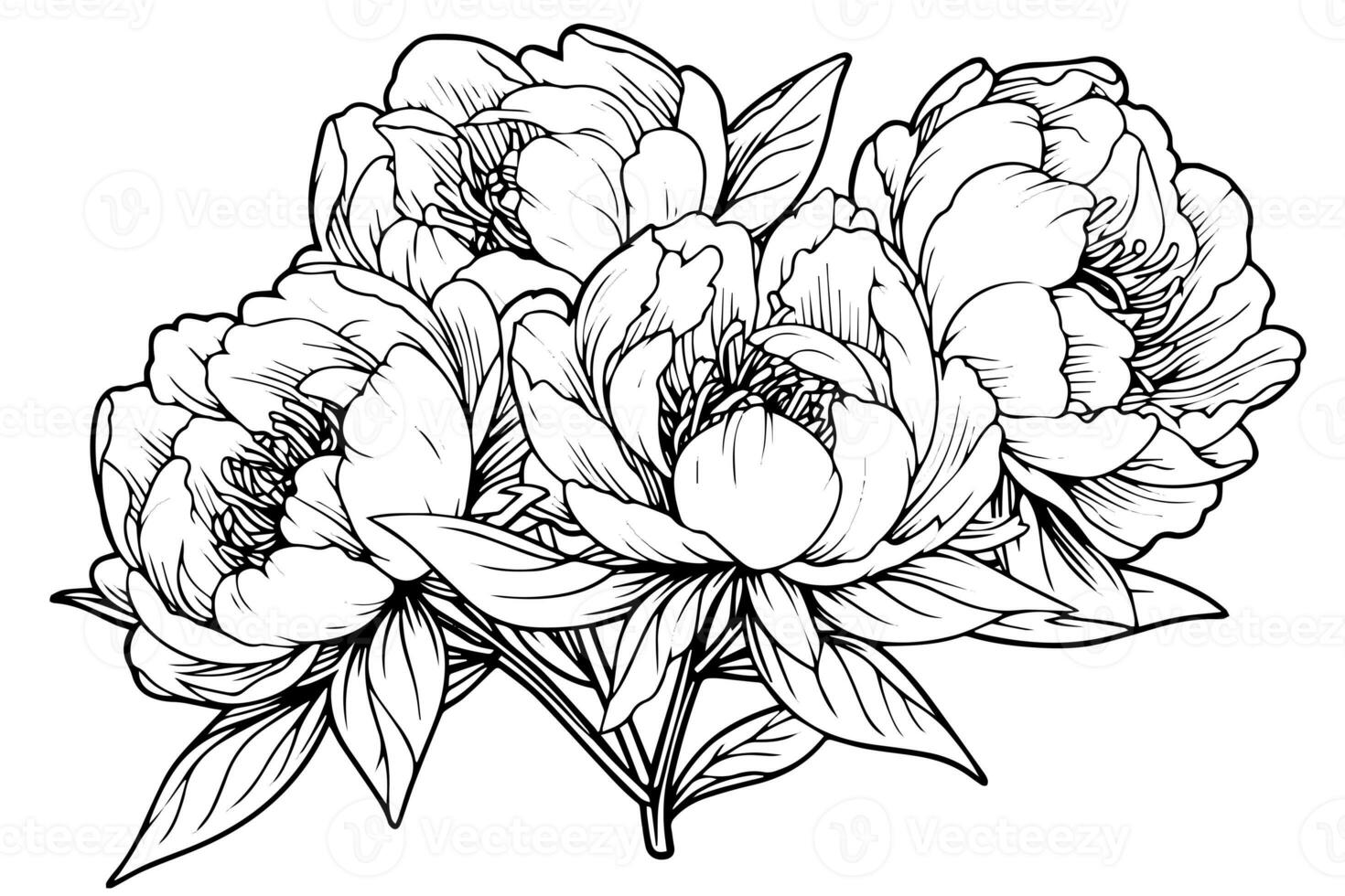 pion blomma och löv teckning. vektor hand dragen graverat bläck illustration foto