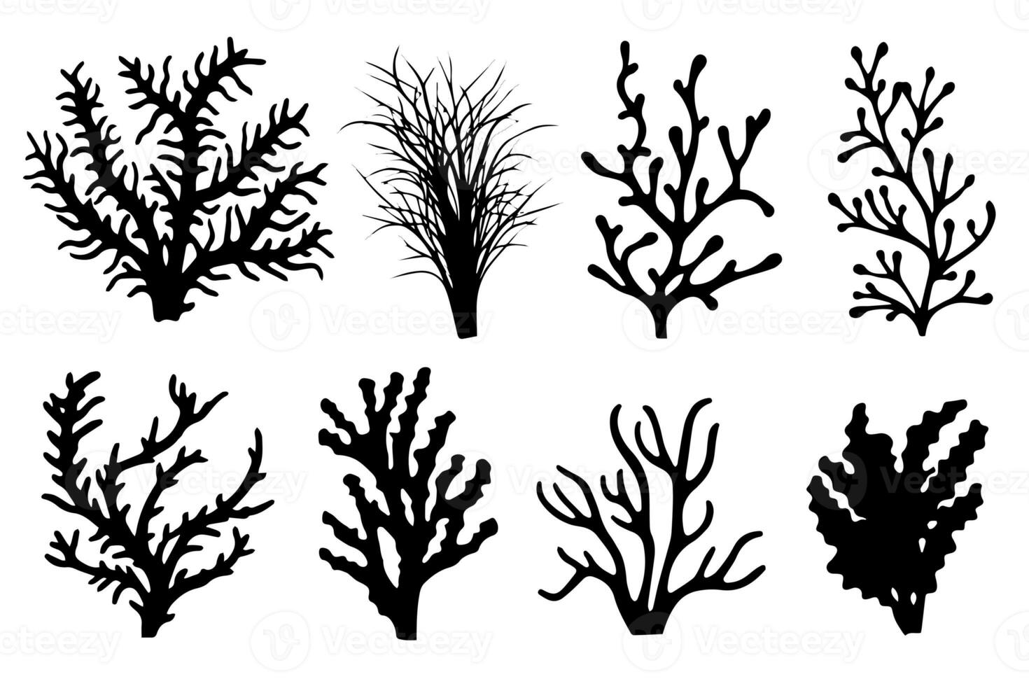 hand dragen uppsättning av koraller och tång silhuett isolerat på vit bakgrund. vektor ikoner och stämpel illustration. foto