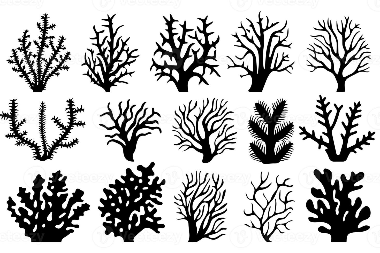 hand dragen uppsättning av koraller och tång silhuett isolerat på vit bakgrund. vektor ikoner och stämpel illustration. foto