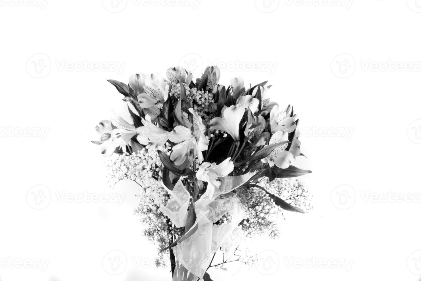 bukett av lila små blommor i vas isolerat på vit foto