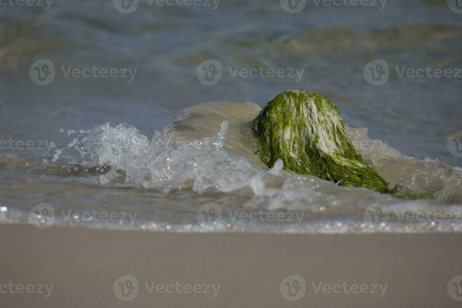 havet landskap med en flyttblock bevuxen med grön alger och vågor av de hav i de bakgrund foto