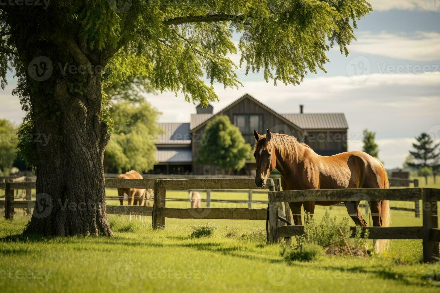 häst ranch med grön landskap foto
