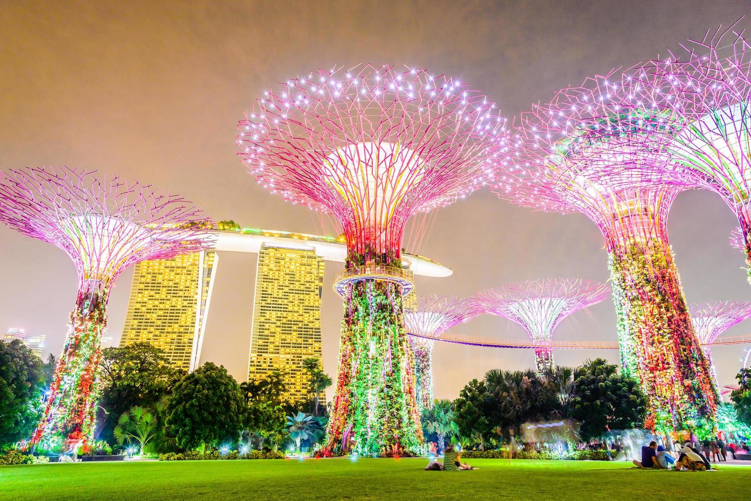 supertree lund i singapore foto