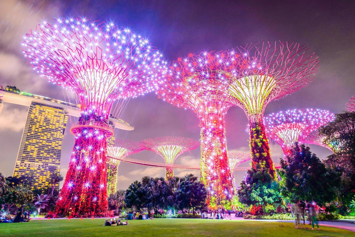 supertree lund i singapore foto