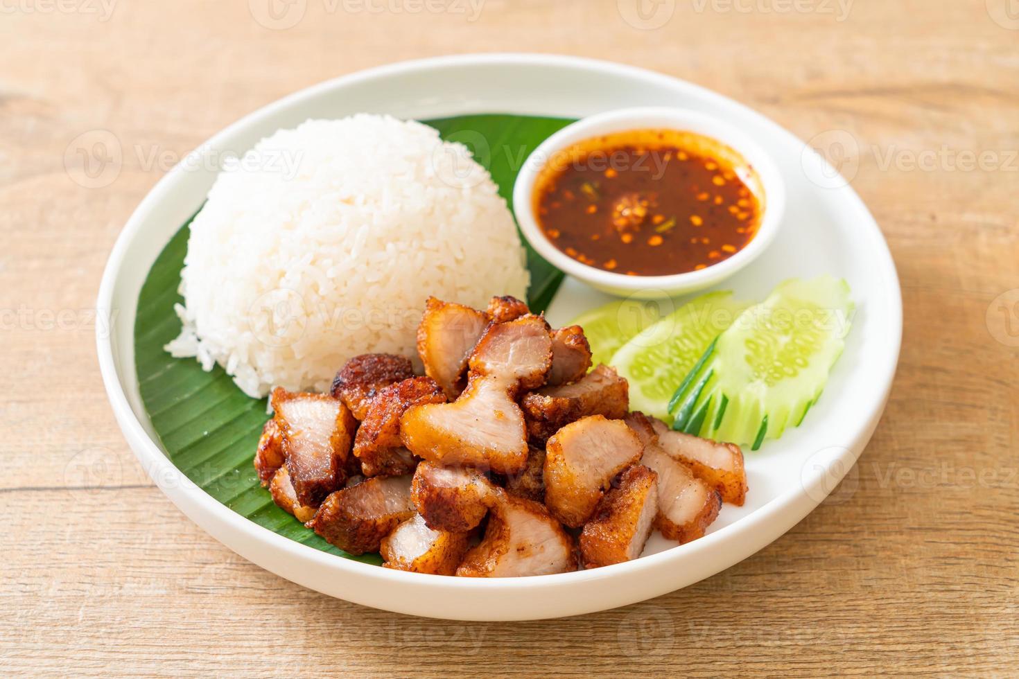 stekt magfläsk med ris med kryddig sås i asiatisk stil foto