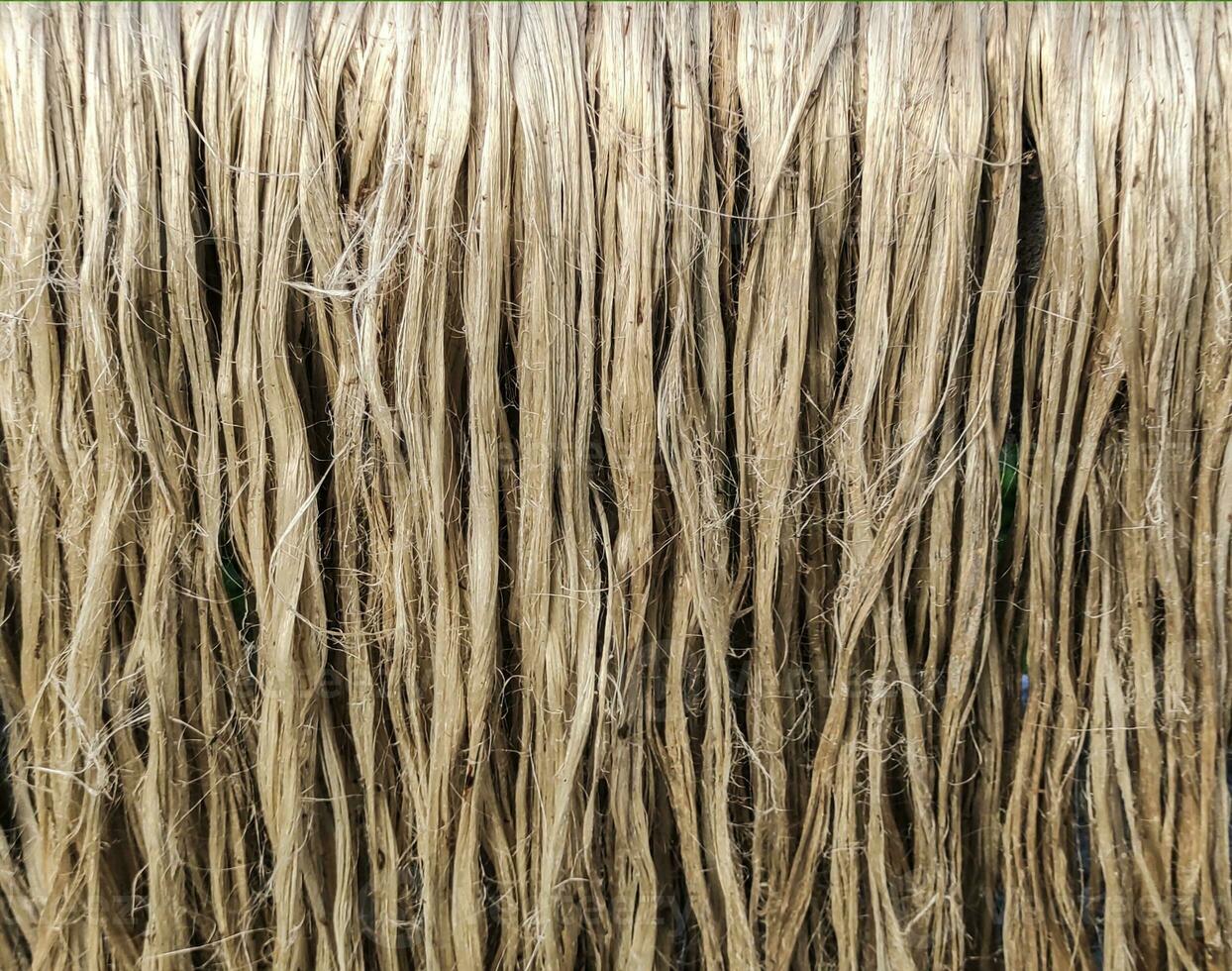 en stänga upp Foto av jute fiber närbild skott, rå jute fiber hängande under de Sol för naturlig torkning