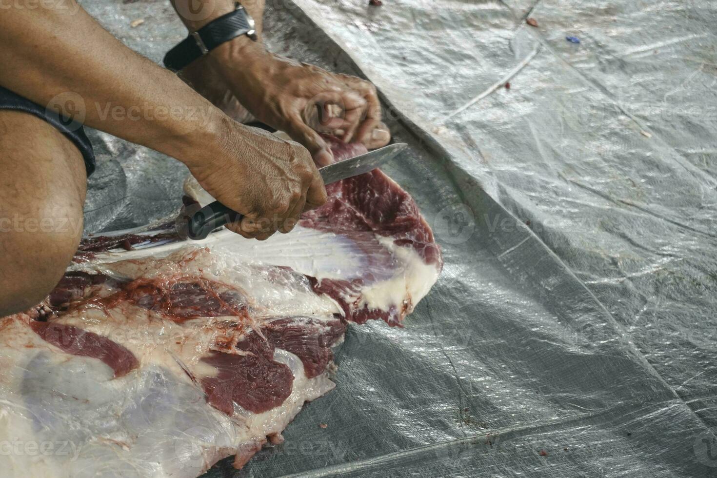 en porträtt av muslims skärande kött på eid al Adha förbi använder sig av skärande kniv foto