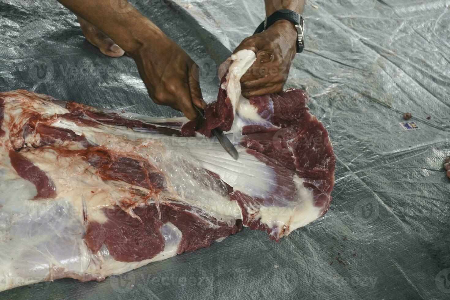 en porträtt av muslims skärande kött på eid al Adha förbi använder sig av skärande kniv foto