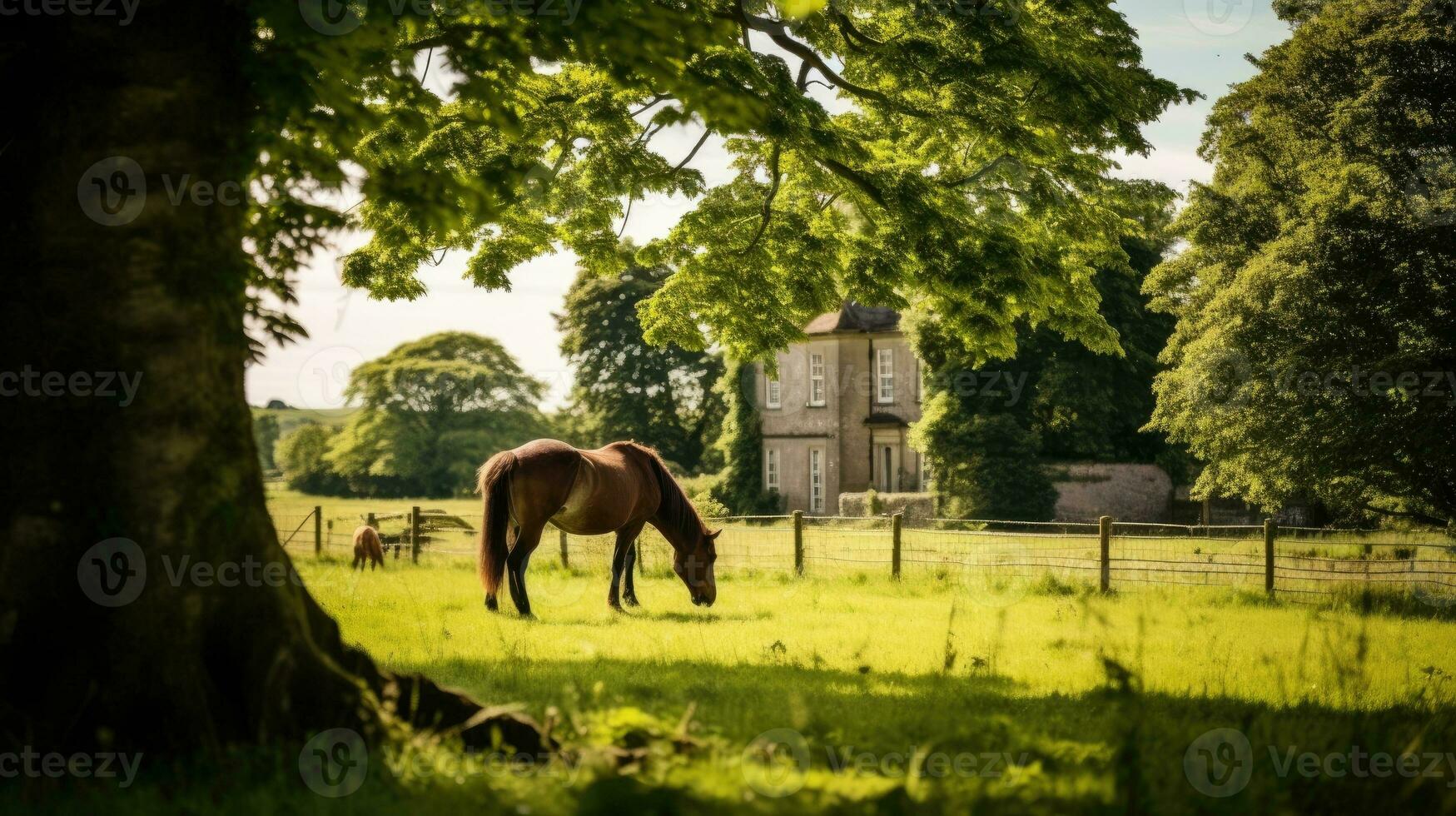 häst ranch med grön landskap foto