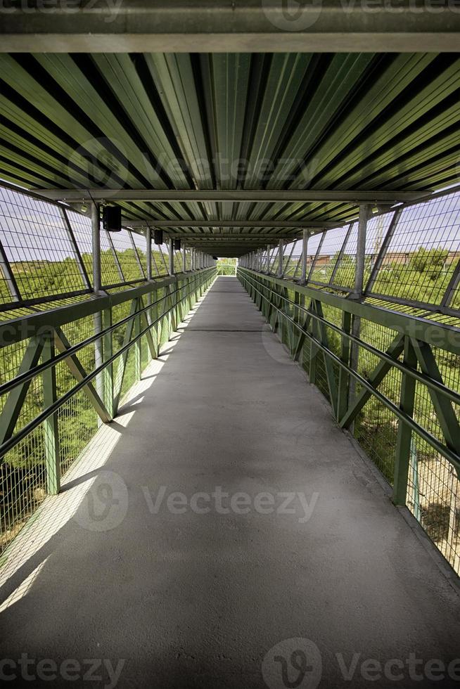 gångbro i naturen foto