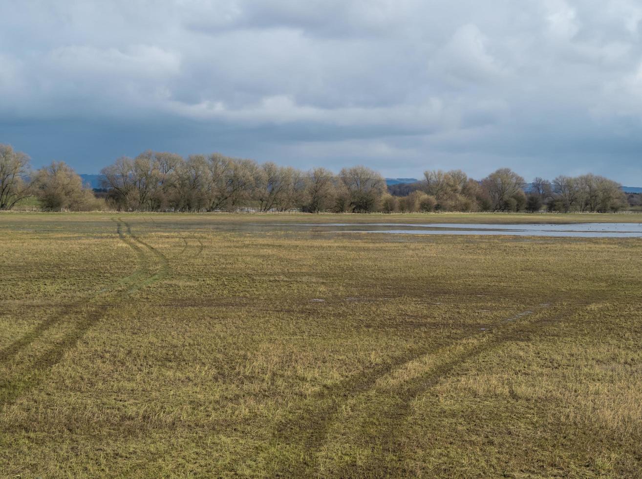 delvis översvämmad äng vid wheldrake ings naturreservat norra yorkshire england foto