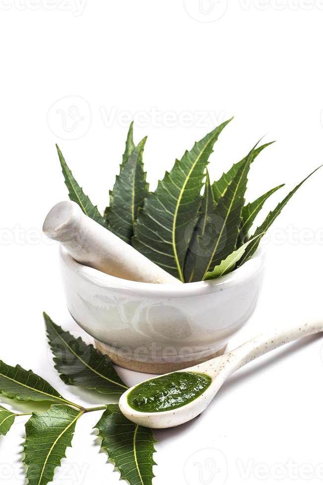 medicinska Neem blad i mortel och mortelstöt med Neem pasta på vit bakgrund foto