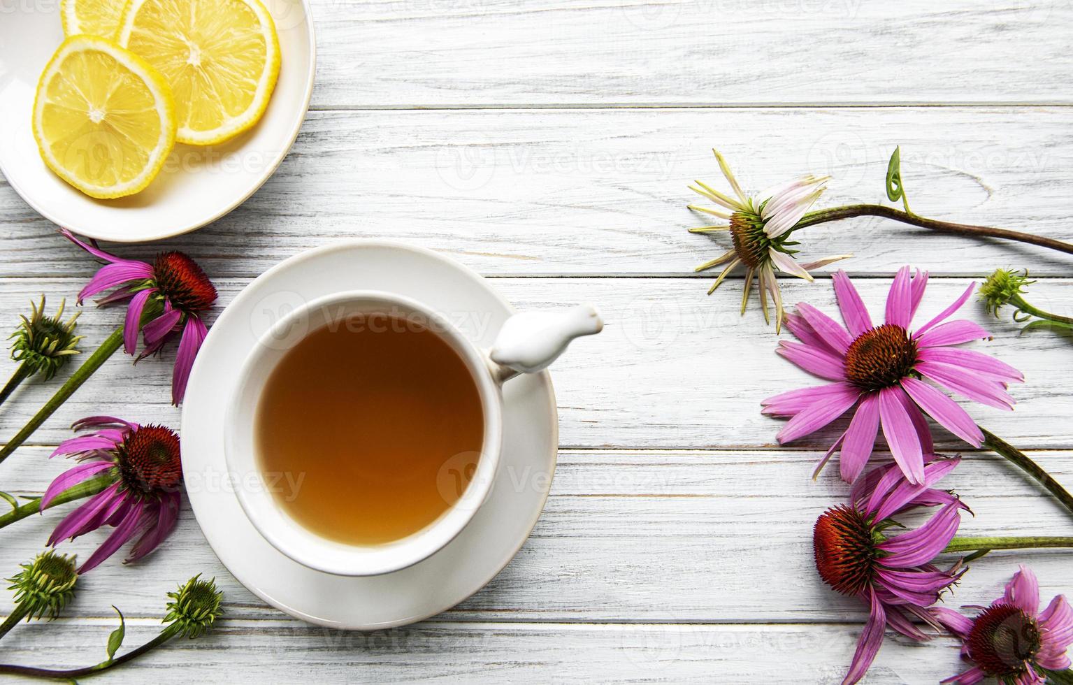 echinacea te med citron och färska blommor. foto