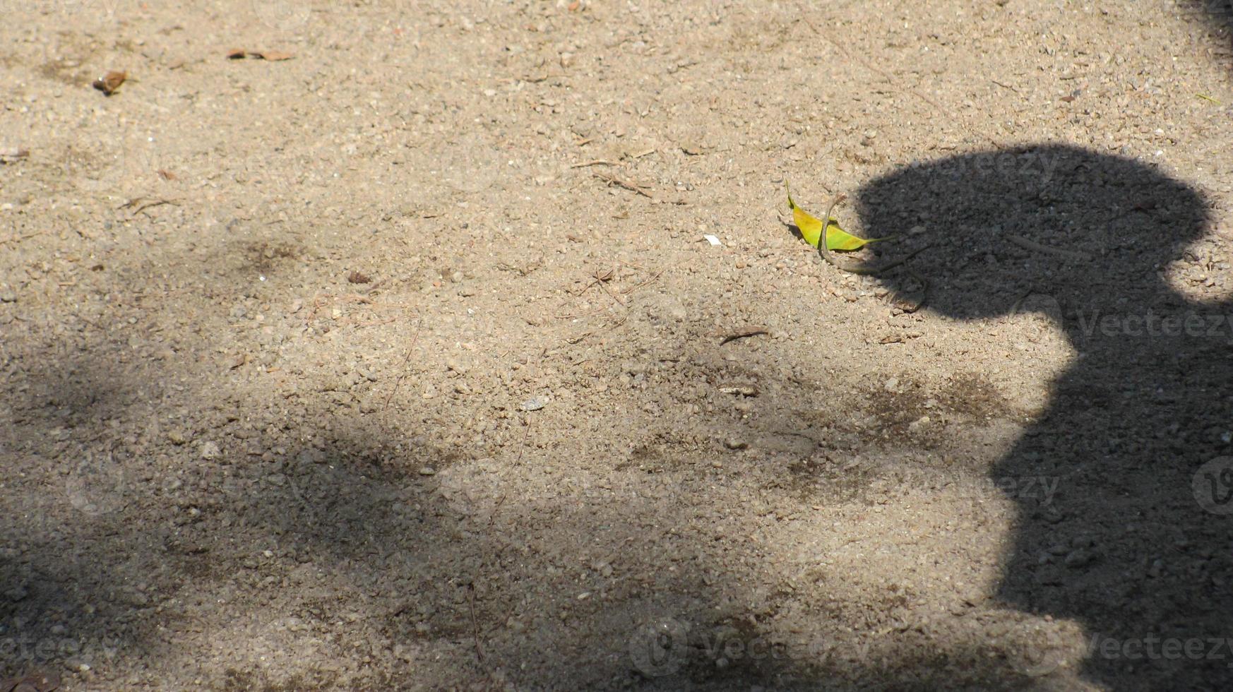 silhuett av en person på lergolv foto
