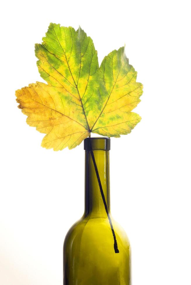 gult lönnlöv i en tom vinflaska foto