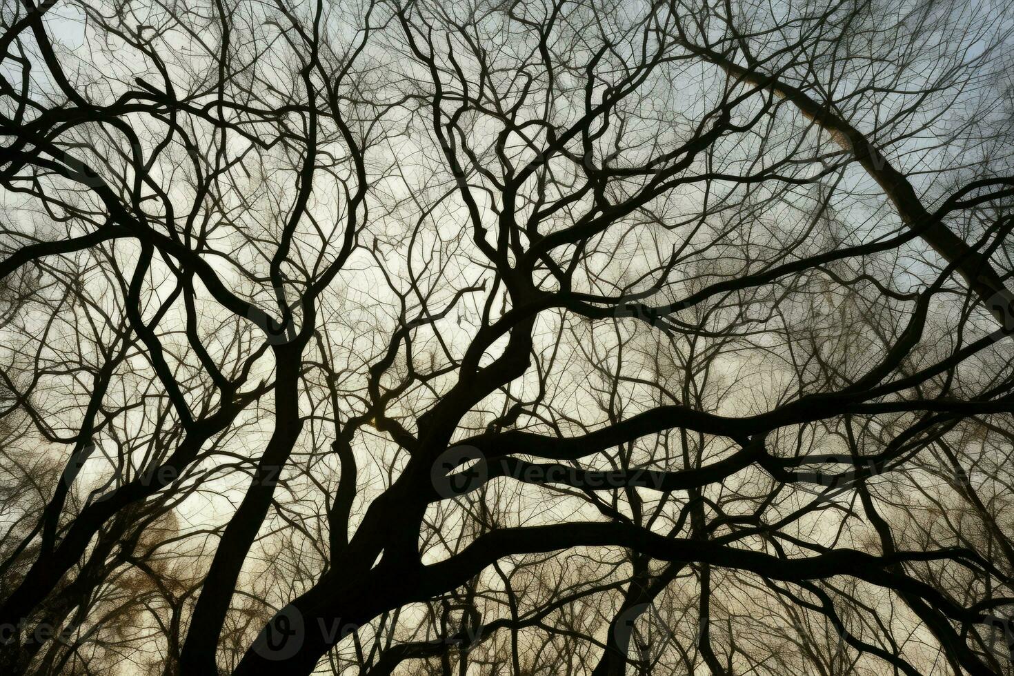 bladlösa träd grenar. generera ai foto