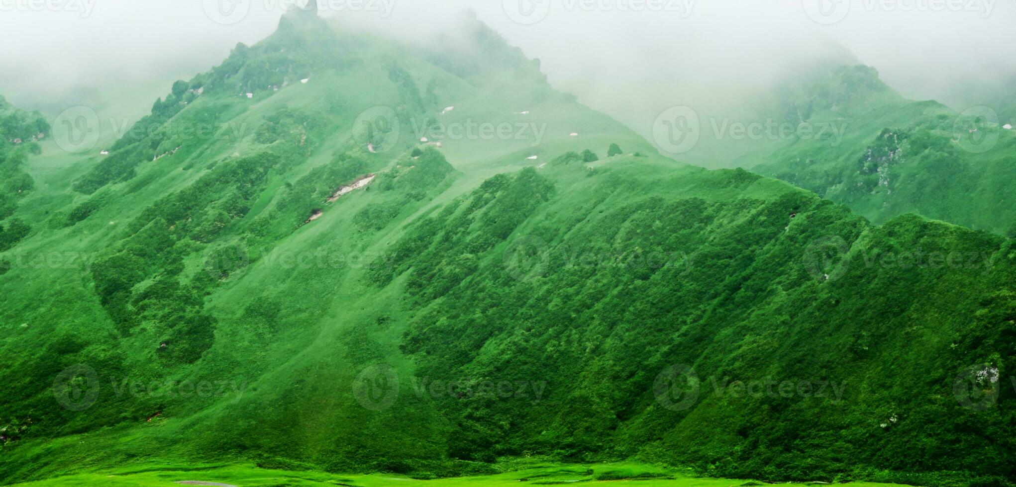 grön bergen i dimma panorama- natur se berg landskap och kall dimma i de morgon- 3d illustration foto