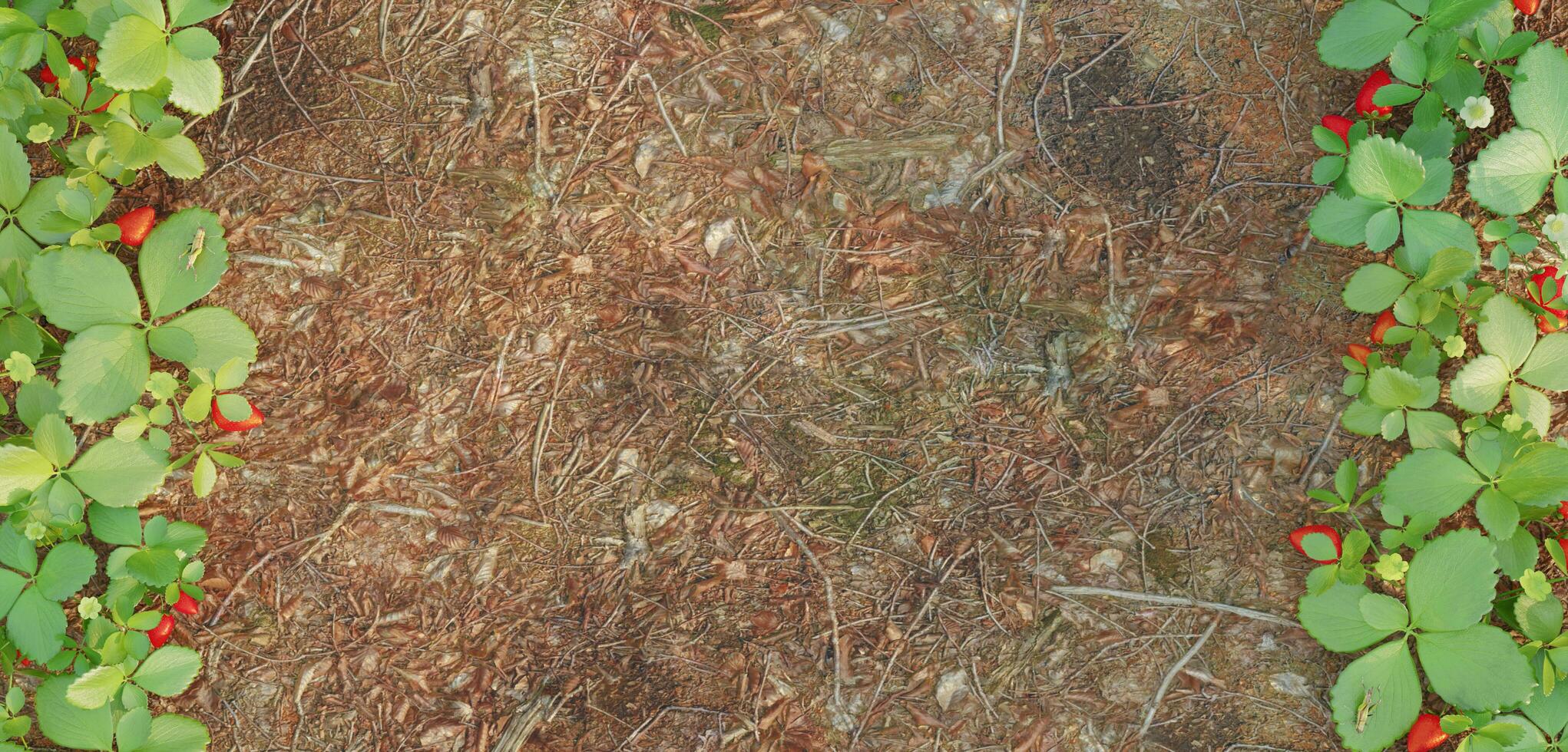 fri bakgrund jord blad ram årgång stil asfalterad med grön löv jord med färsk grenar blad gräns 3d illustration jordgubb träd foto