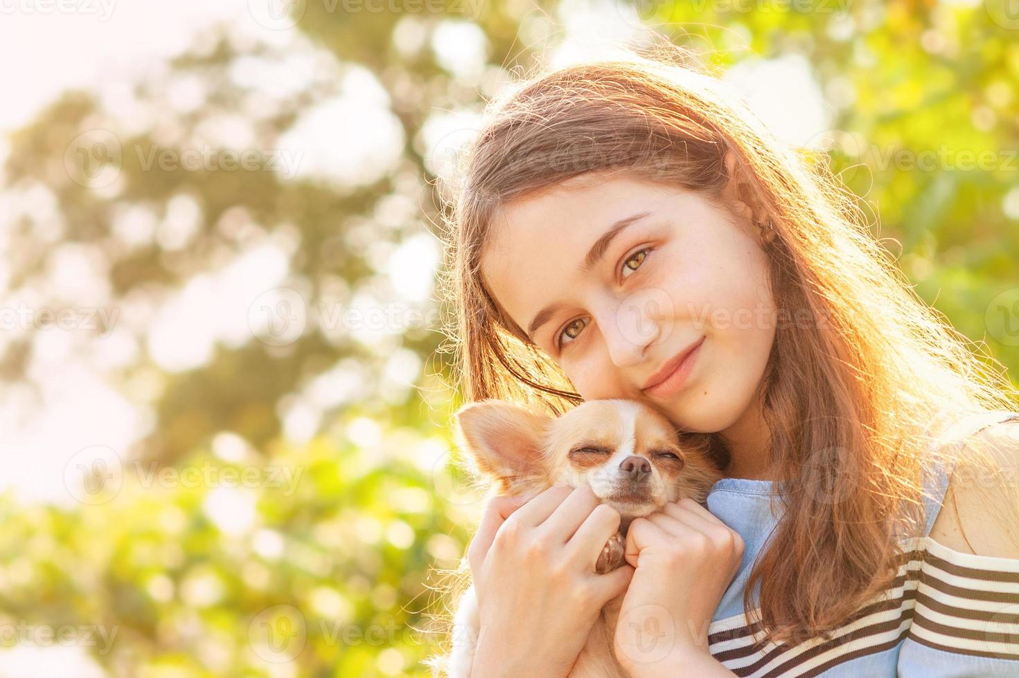 en flicka med en liten hund en solig sommardag. porträtt av en glad tonårsflicka med chihuahua hund. foto