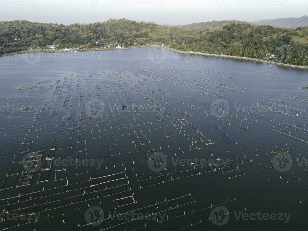 antenn Drönare se av rowo jombro sjö med en massa av fisk damm i klaten, indonesien foto