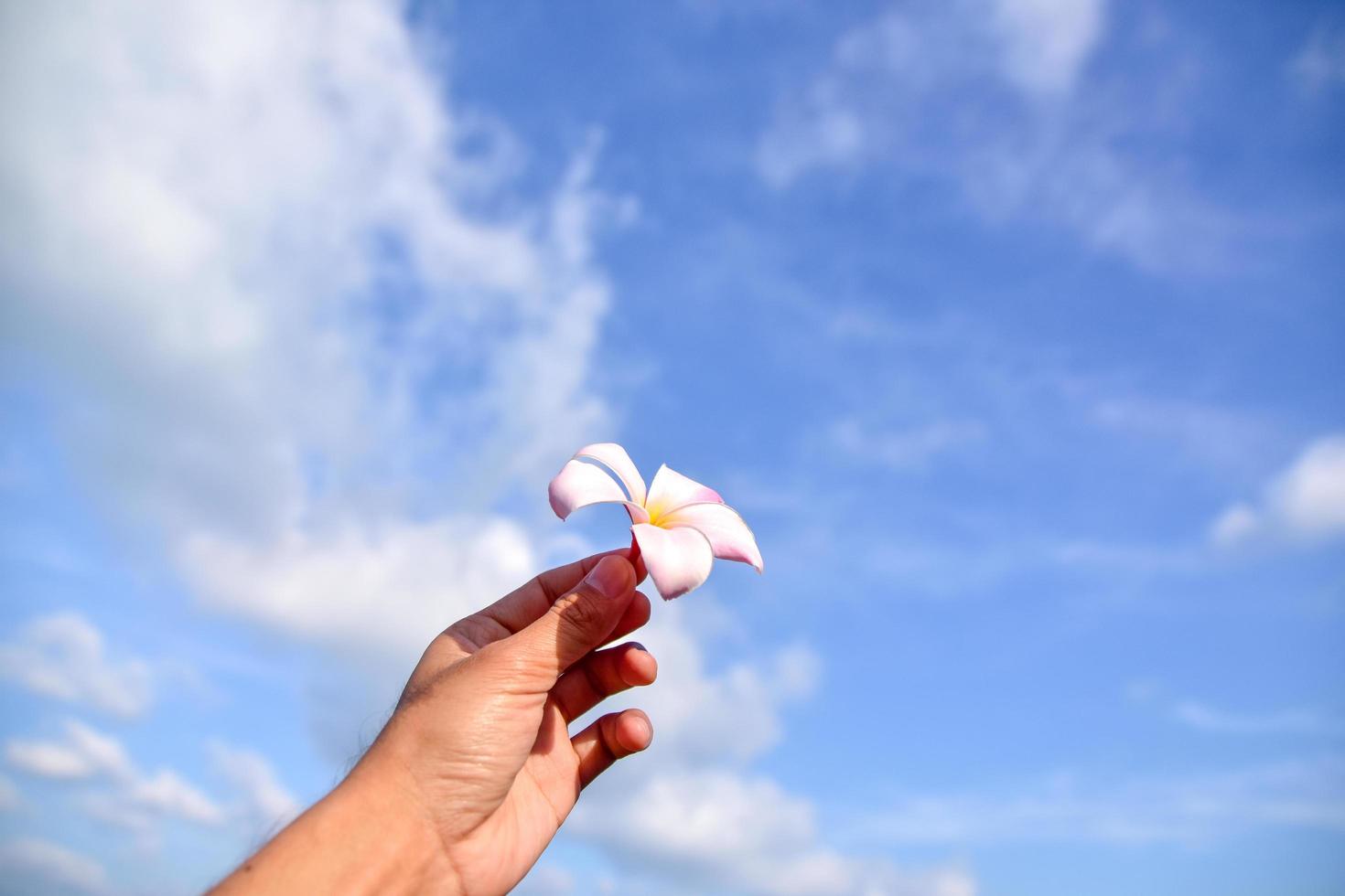 hand som håller blomman på havet bakgrund för blå himmel foto