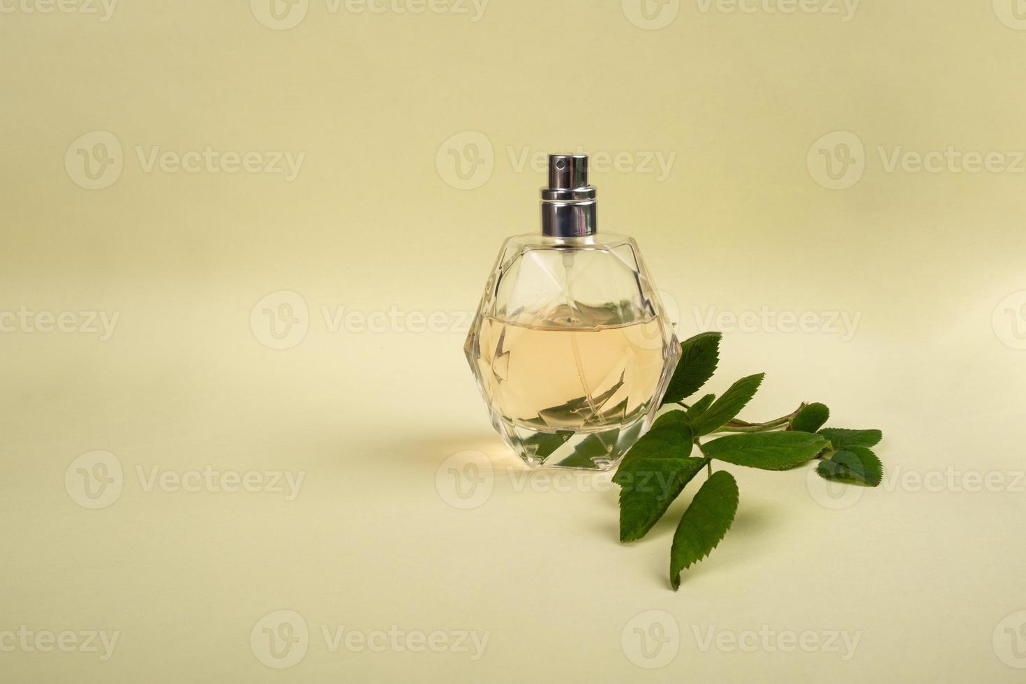 parfymflaska med en kvist av ros på gul bakgrund, skönhet hudvård foto