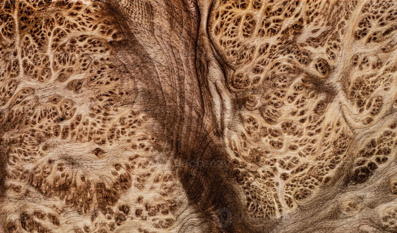 natur salao burl trä randig, exotiska trä vackra mönster för hantverk eller abstrakt konst bakgrundsstruktur foto