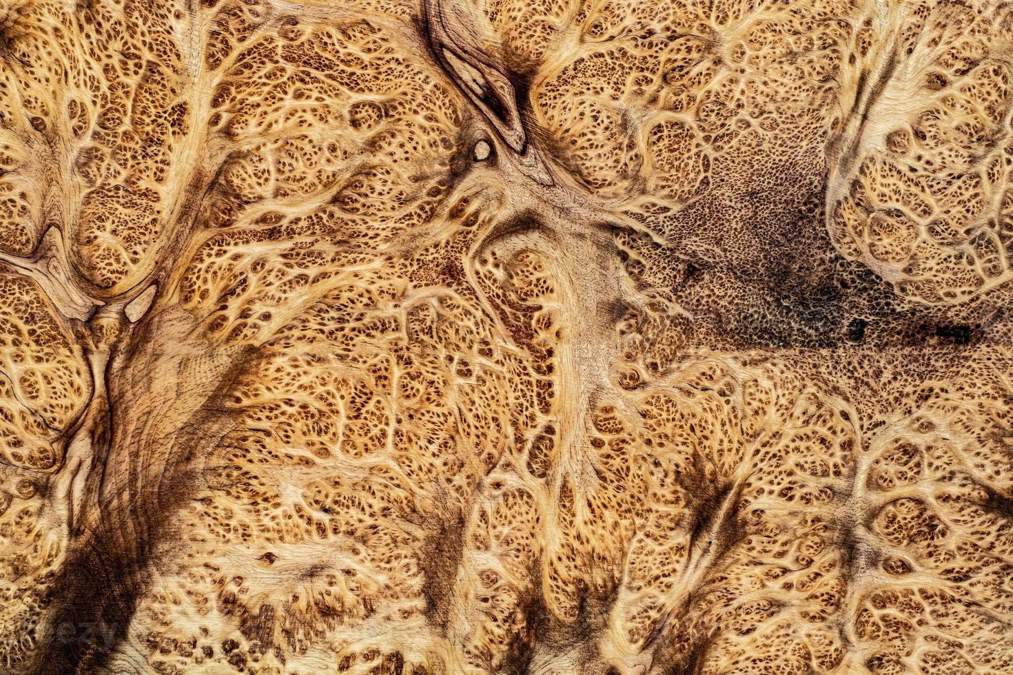 natur salao burl trä randig, exotiska trä vackra mönster för hantverk eller abstrakt konst bakgrundsstruktur foto