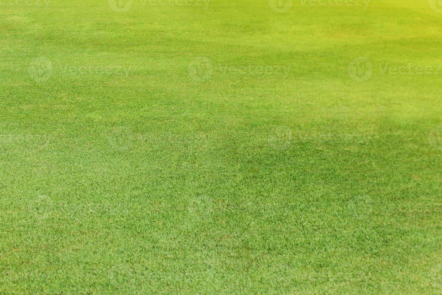 grönt gräs textur bakgrund foto