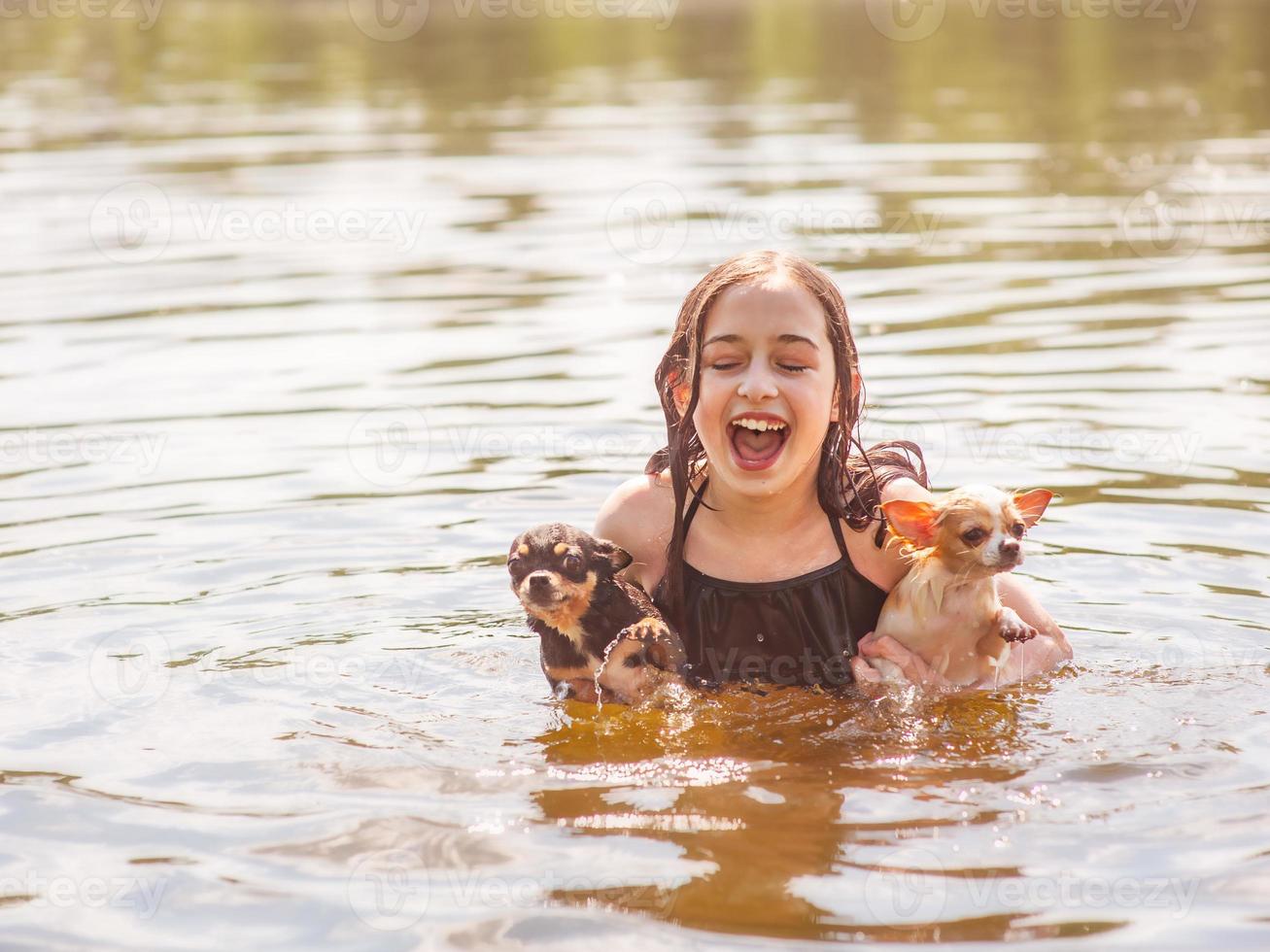 barnet har relationer med hundar. en flicka med två chihuahuas simmar i floden. foto