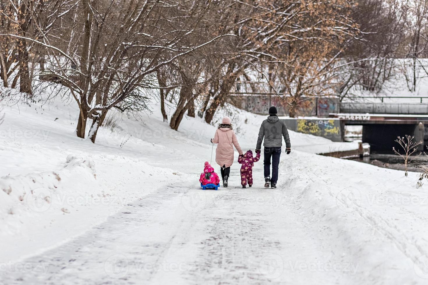 en familj med två barn i en släde på en promenad i parken foto